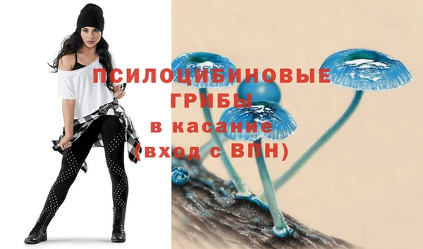 ешки Абинск