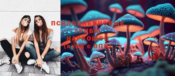 ешки Абинск